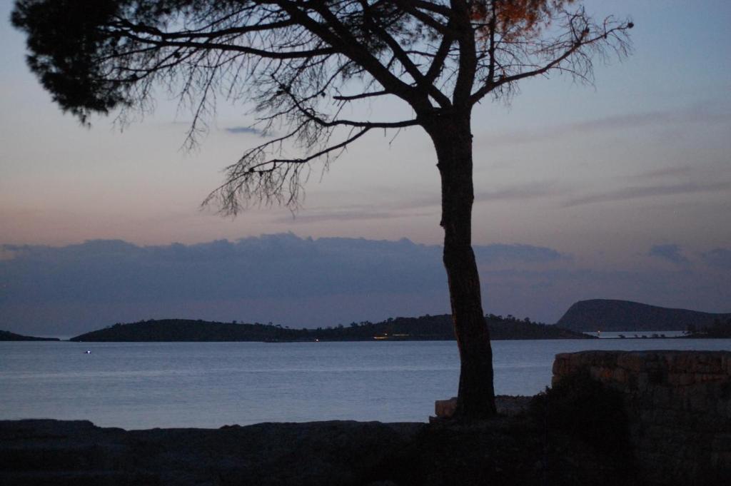 Villa Dedem Hotel Foça Buitenkant foto